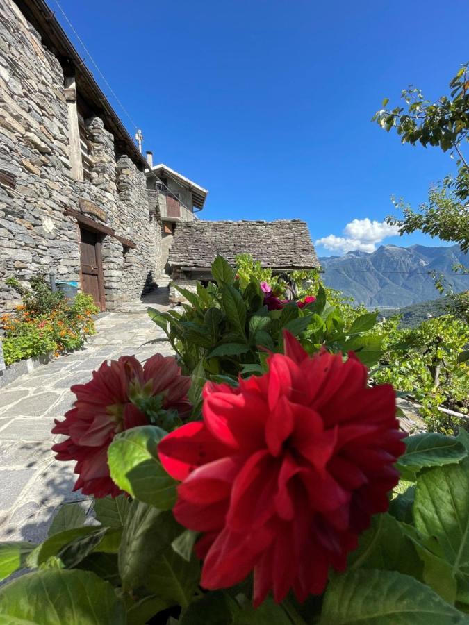 Casa Vacanze La Carbunera Vila Domodossola Exterior foto